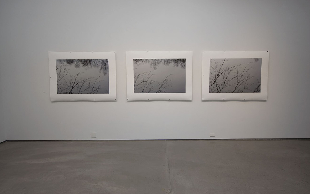 Jamie Hahn, "Surface, Rhythm & Reflection", (3) 45x60, archival inkjet print installation, Figure Ground Rhythm Thesis Exhibition, 2010