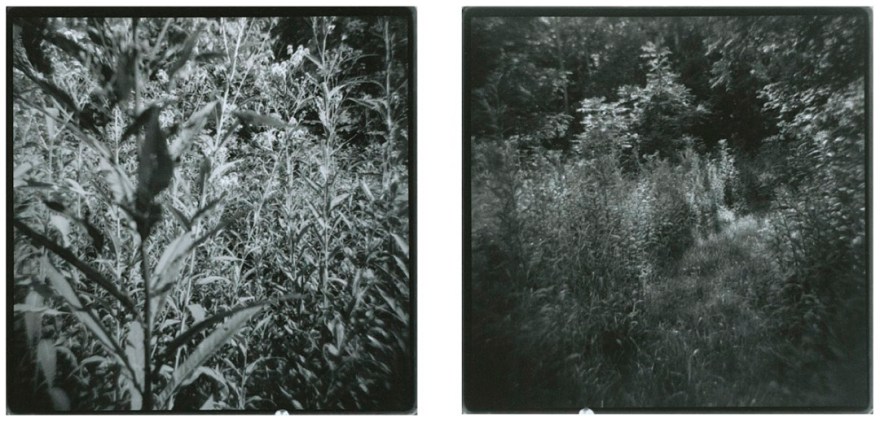 Jamie Hahn, "Between Home & Time", gelatin silver print, 2014, darkroom photography