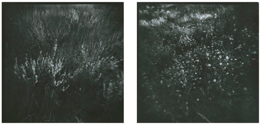 Jamie Hahn, "Between Home & Time", gelatin silver print, 2014, darkroom photography