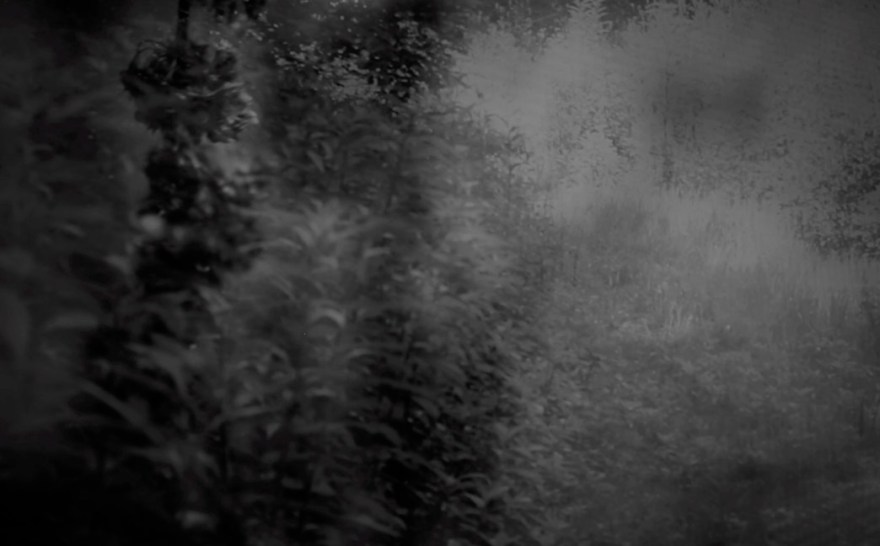 Interior Repetitions: I, 7:28, Jamie Hahn, 2016, still from single channel video