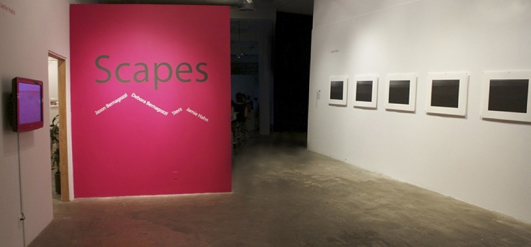 Jamie Hahn, "My Horizon", single channel video and print installation, Rochester Contemporary Art Center, 2011